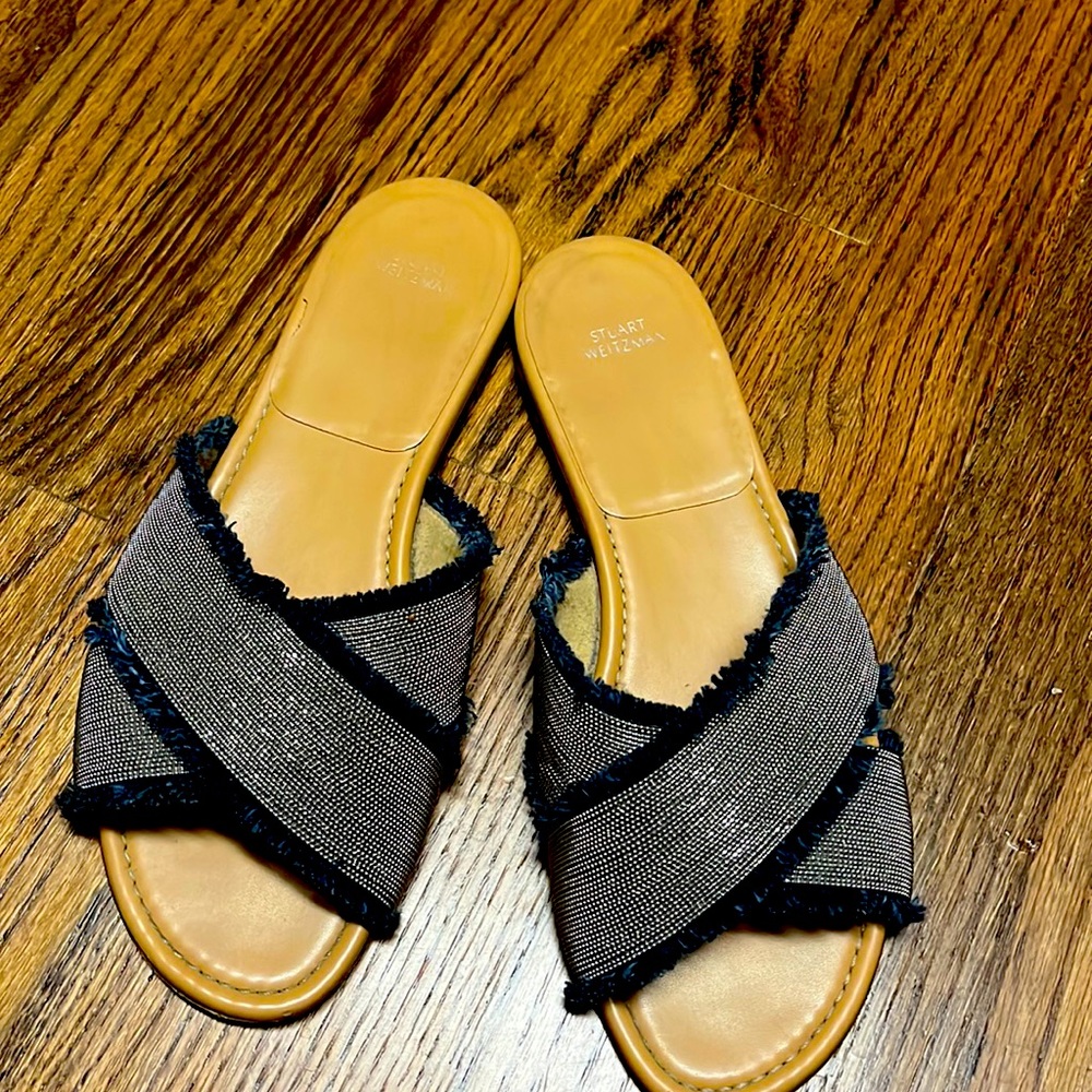 Stuart weitzman flat